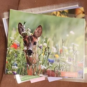 Homemade cover and 5 dashboards/dividers for a classic sized disc bound planner